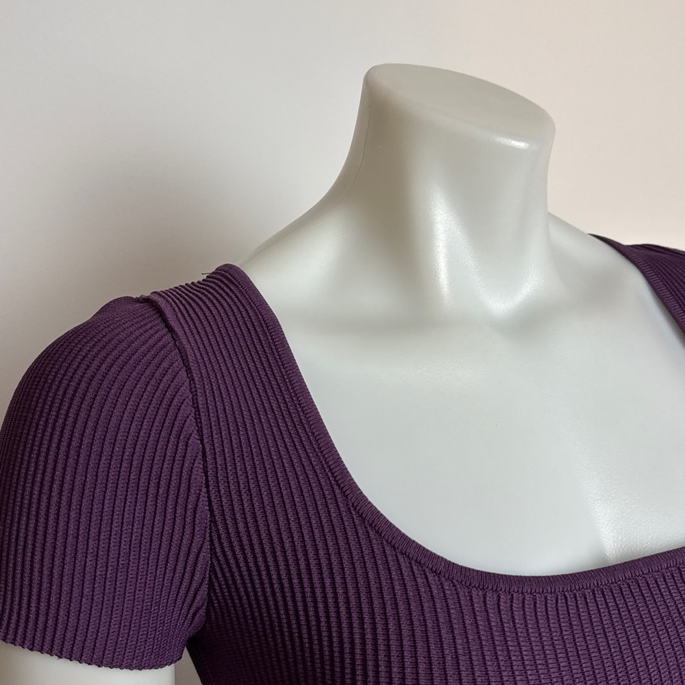 BABATON (Aritzia) Sculpt Knit Short Sleeve Crop Top. Ribbed. Medium. - Picture 5 of 9